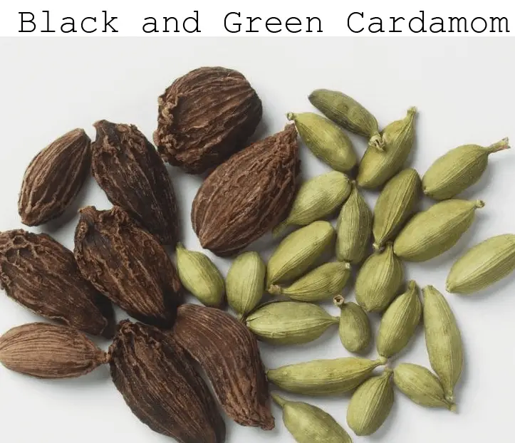 Green and Black Cardamom