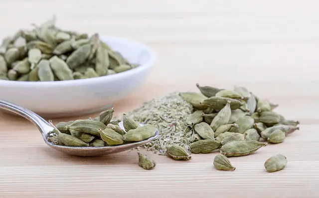 What Are The Secrets Of Cardamom Taste And Smell?