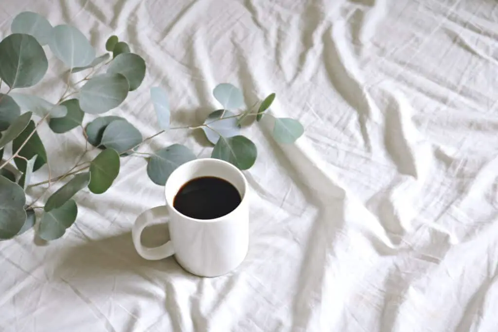 eucalyptus as a air freshner on bed