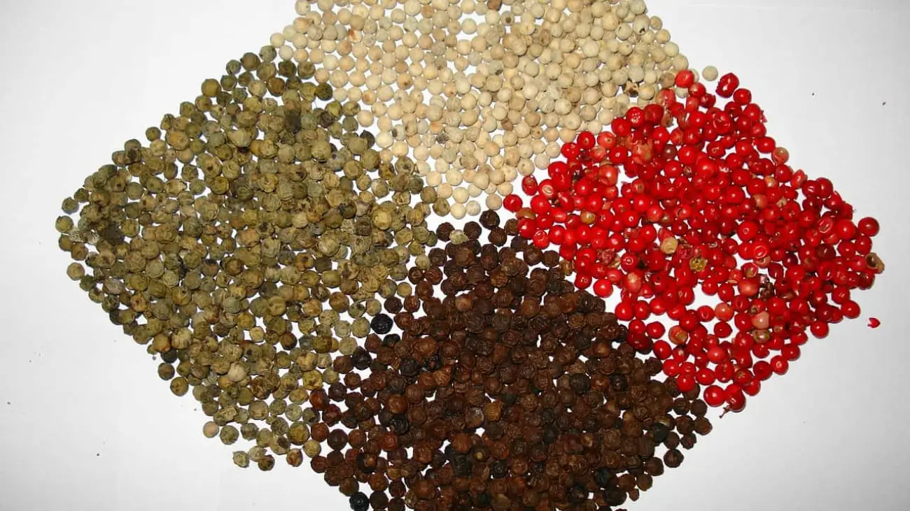 types of pepper - green, black, white and red peppers