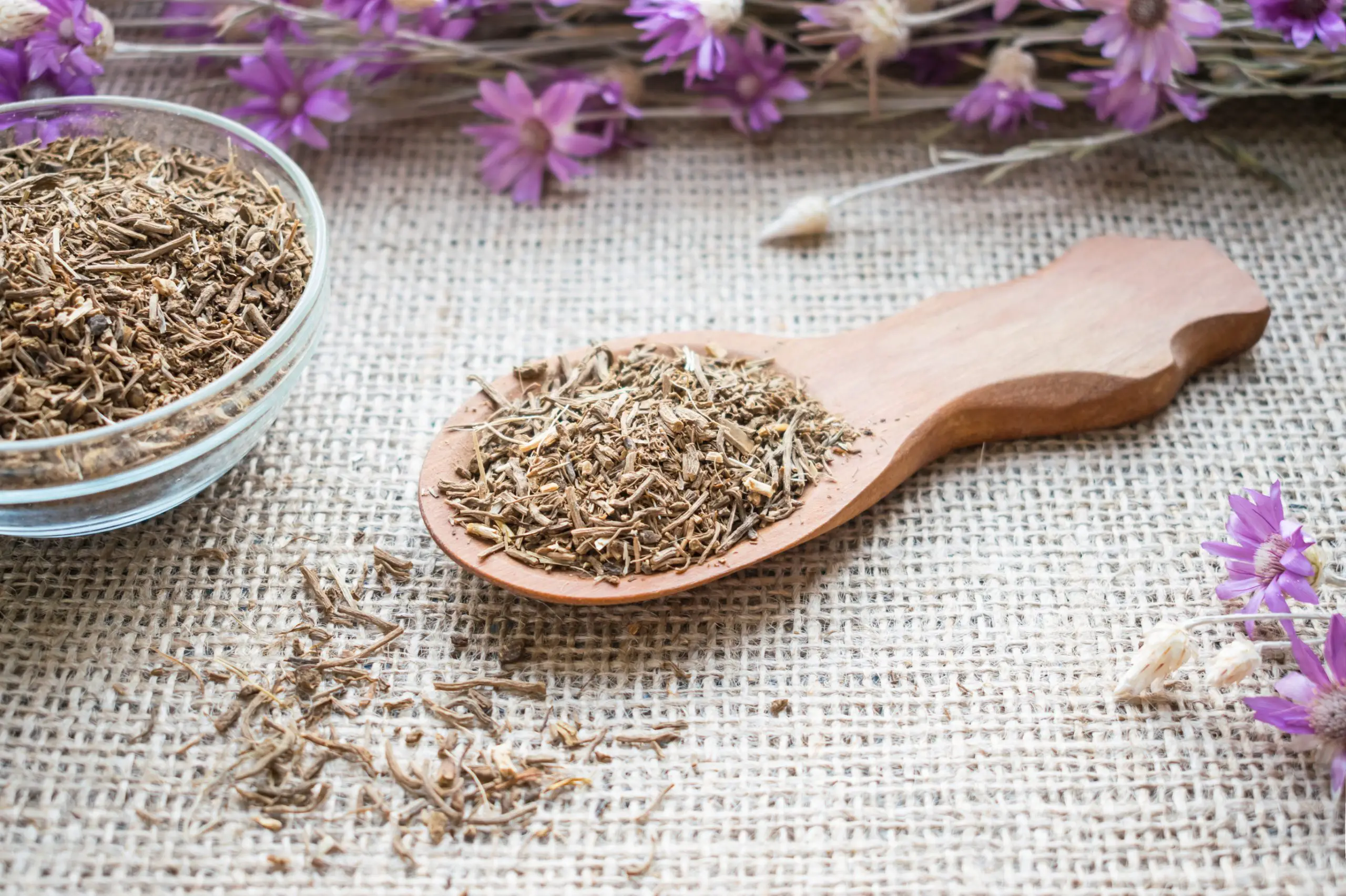 Valerian Root, Insomnia and Anxiety – How It Helps