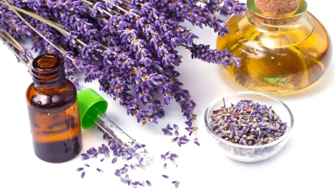 Lavender For Anxiety The Best Way To Use This Calming Herb
