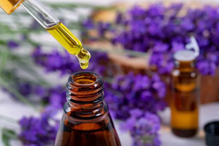 Health Benefits Of Lavender Essential Oil