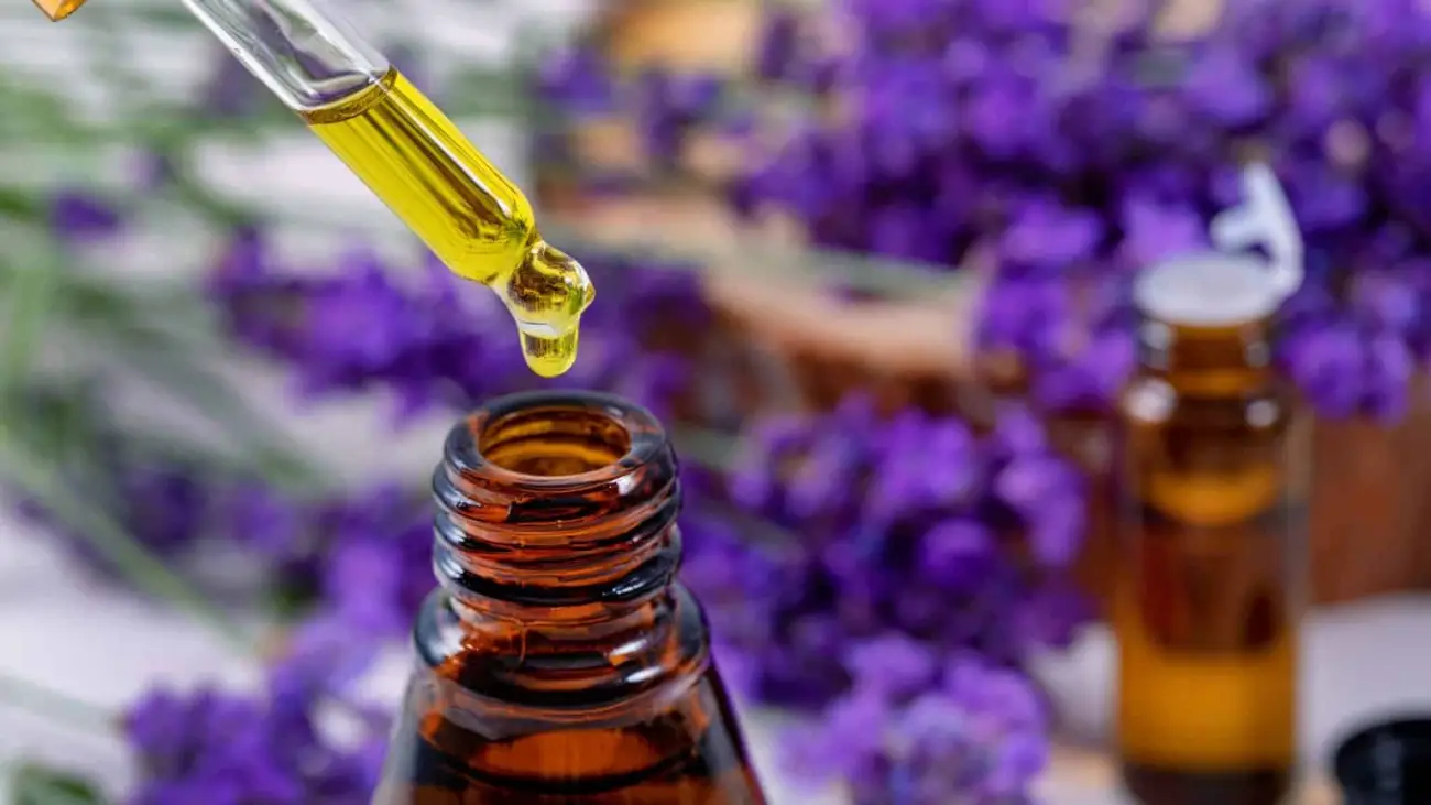 lavender essential oil dripping from pipette over the bottle