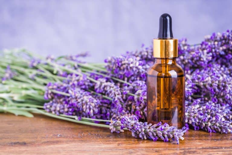 Lavender Oil for Anxiety and Depression